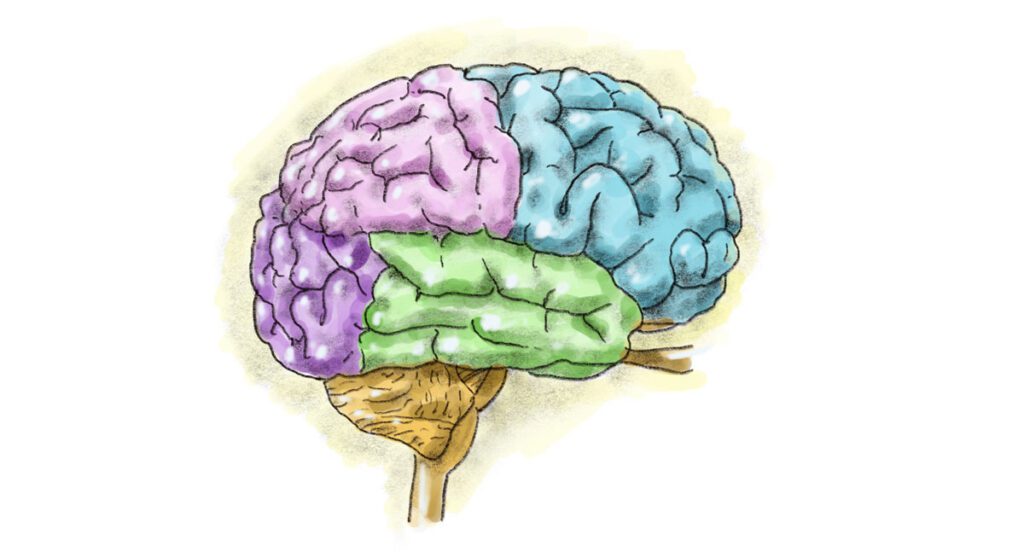 Amy Jean Brain