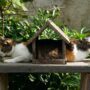 Amy Jean Blog - Petrichor? No, Stuck Poem - Cat stuck in bird feeder