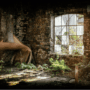 Amy Jean Blog - Depleted Poem - Deserted Home