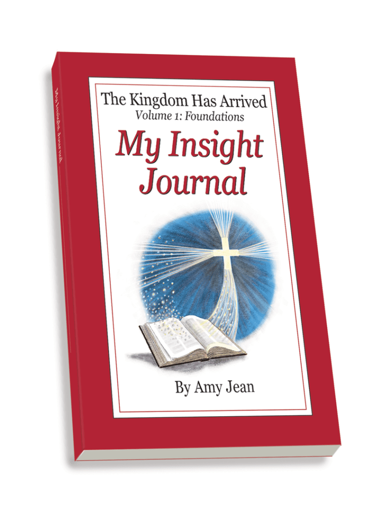 My Insight Journal by Amy Jean