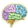 Amy Jean Brain