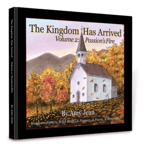 The Kingdom Has Arrived Volume 2 by Amy Jean