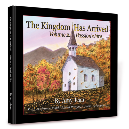 The Kingdom Has Arrived Volume 2 by Amy Jean