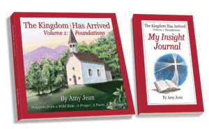The Kingdom Has Arrived Volume 1 and My Insight Journal by Amy Jean