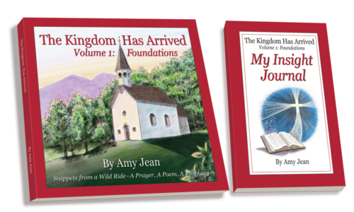 The Kingdom Has Arrived Volume 1 and My Insight Journal by Amy Jean