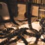 Amy Jean blog post discusses the possibility of splicing together only good happenings while cutting out the bad