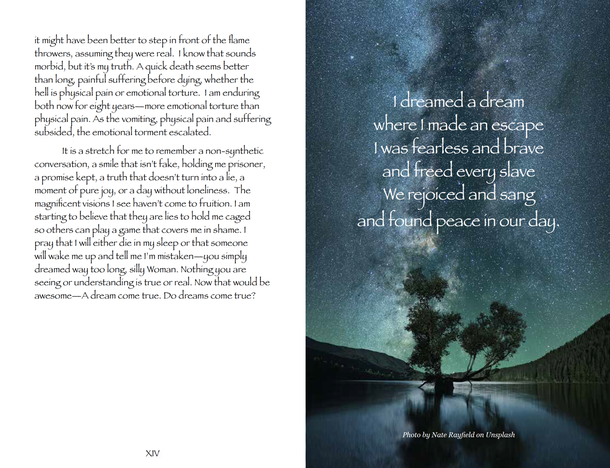 Amy Jean Blog - A Step Back pages XIV-XV