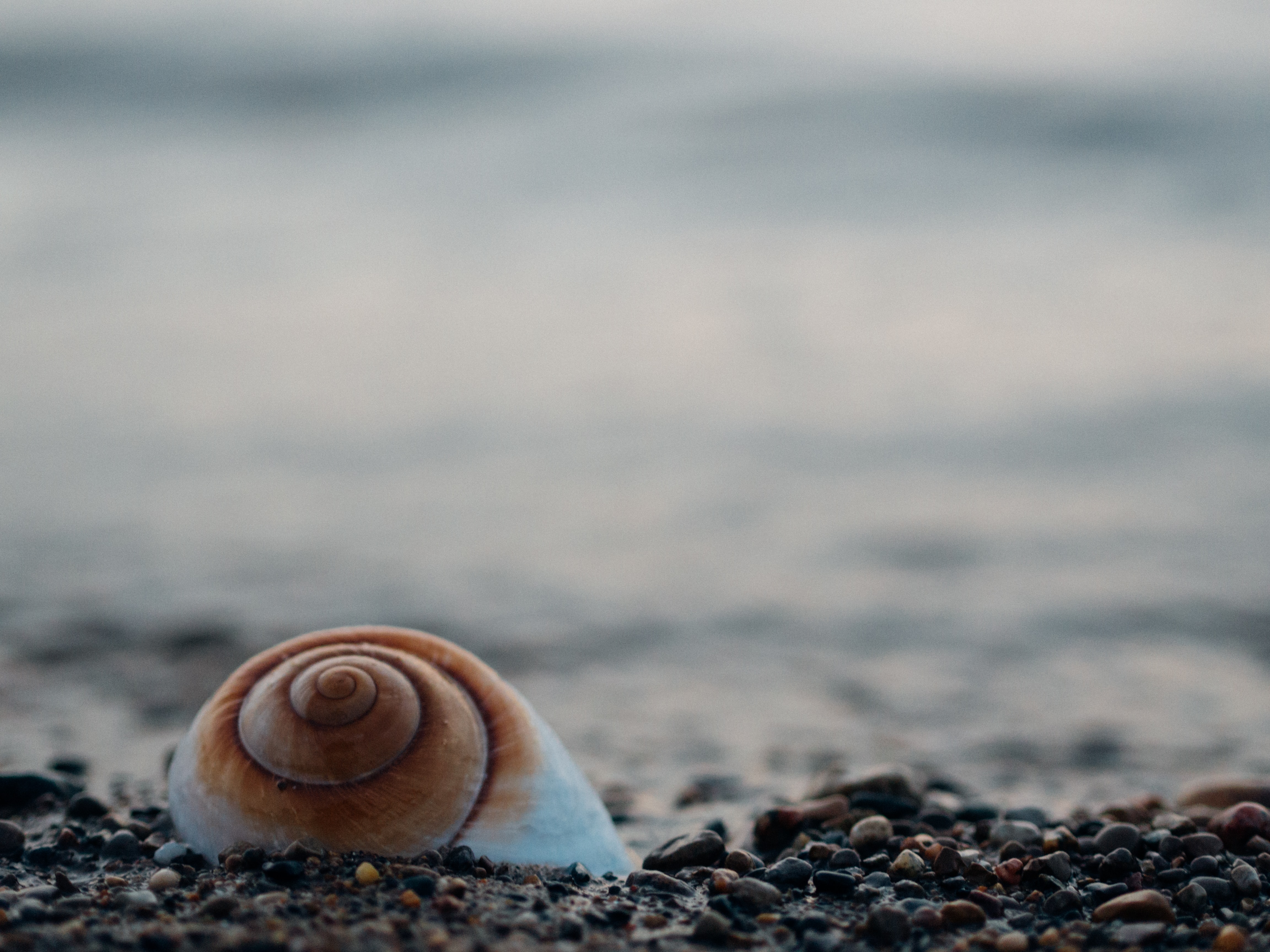 High Flyer or Slow Rider? A snails pace.