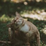 closed eyes