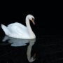 No more reflecting on the past by Amy Jean