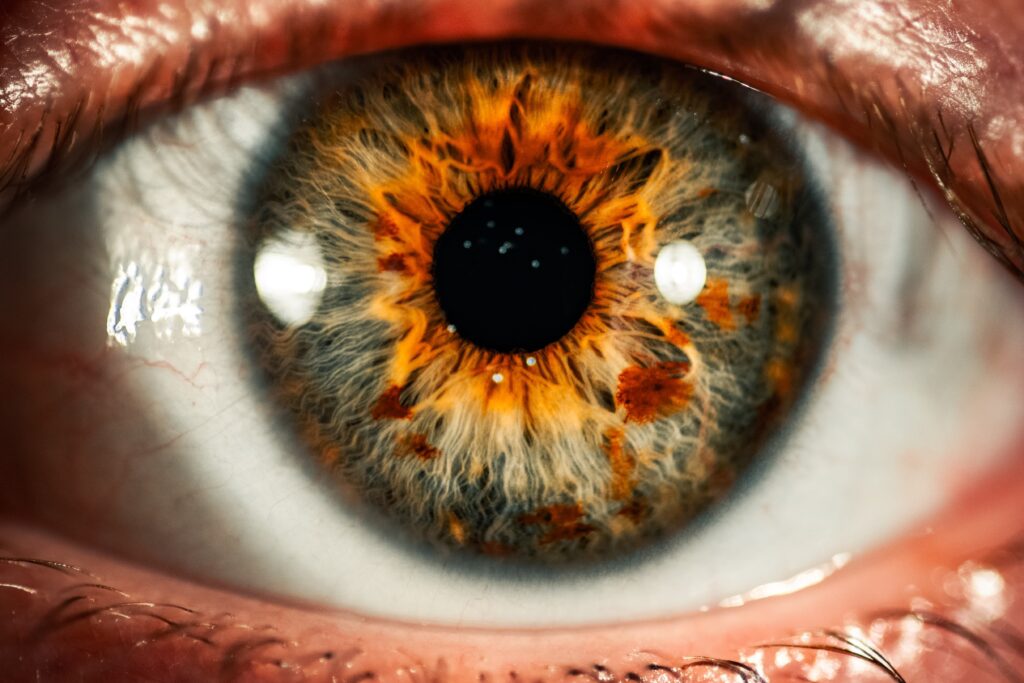Hazel eyes by Amy Jean