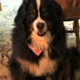 Zoey
