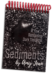 Sediments Flipbook by Author Amy Jean