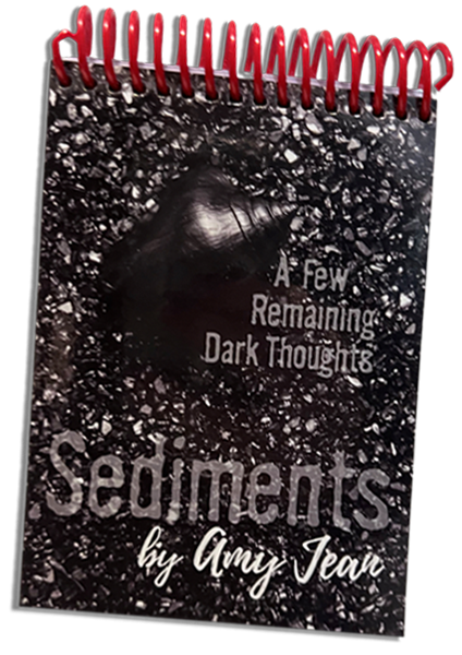 Sediments Flipbook by Author Amy Jean