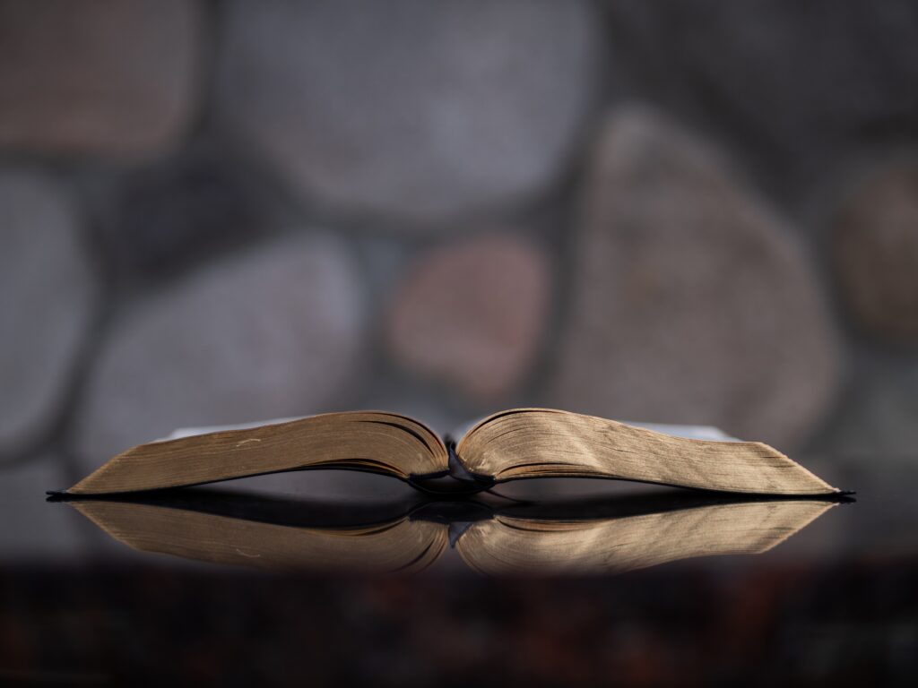 bible reflections' of a past retold poetry by Amy Jean
