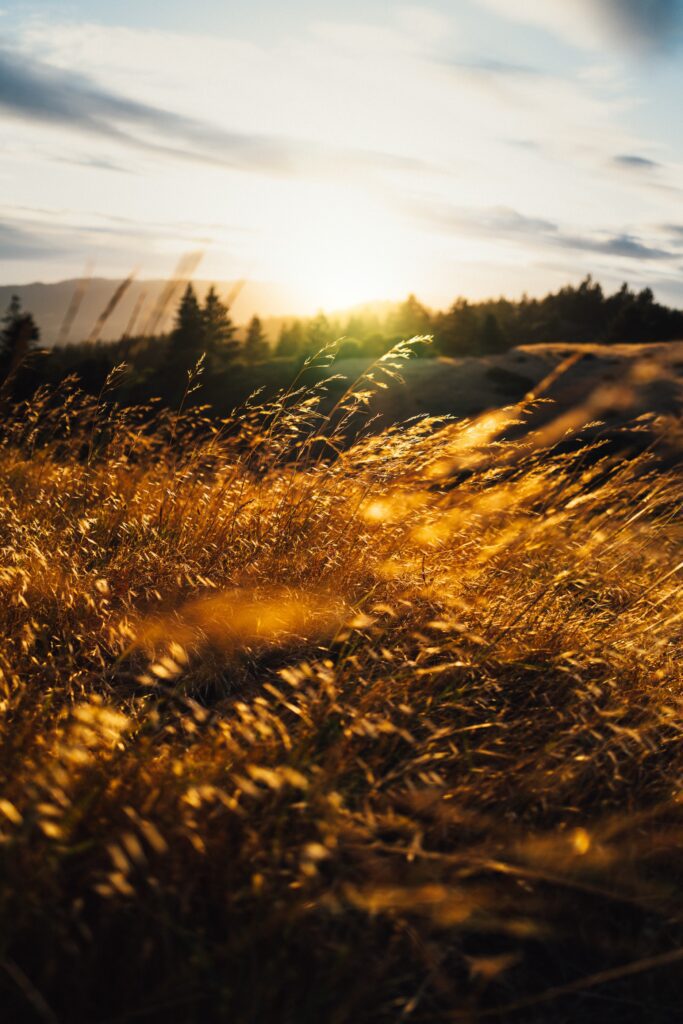 The wanderer and the morning breeze waking the new day